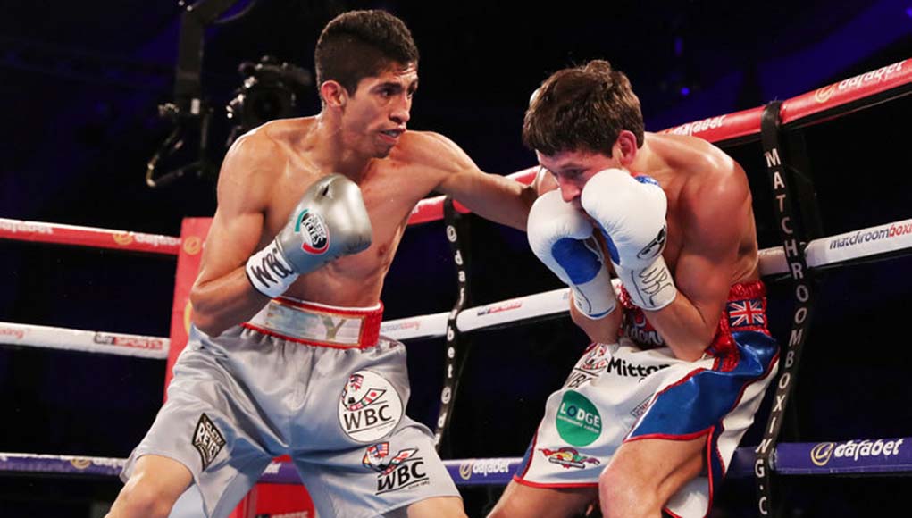 Rey Vargas Defenderá Su Título Ante Ronny Ríos - Espabox